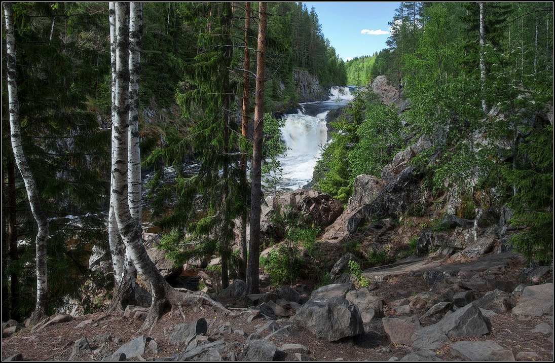 photo "the waterfall Kivach" tags: landscape, travel, forest