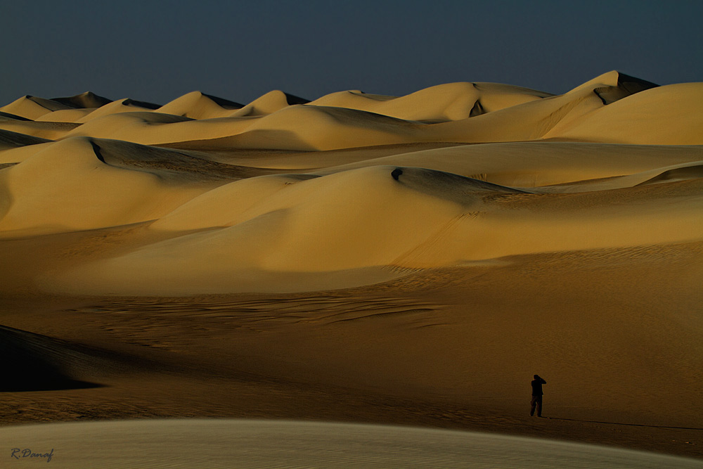 photo "Dunes 04" tags: landscape, travel, Africa