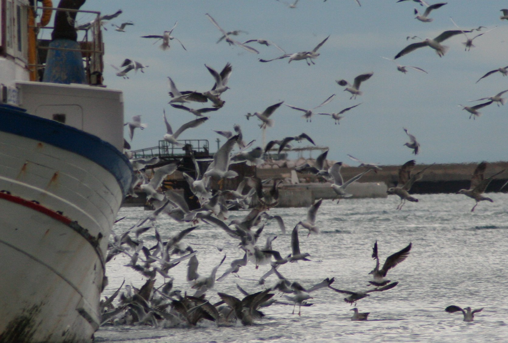 photo "breakfast time" tags: landscape, water