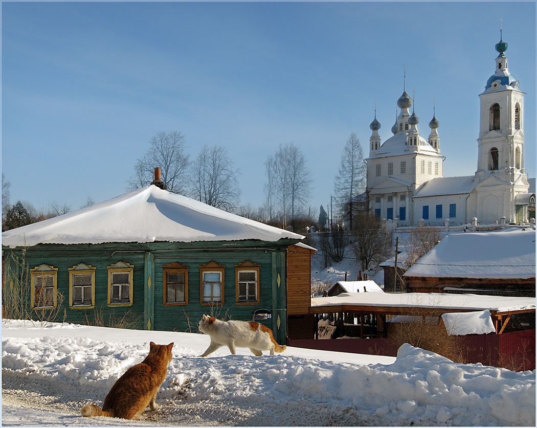 фото "Дело было в марте" метки: архитектура, природа, пейзаж, домашние животные