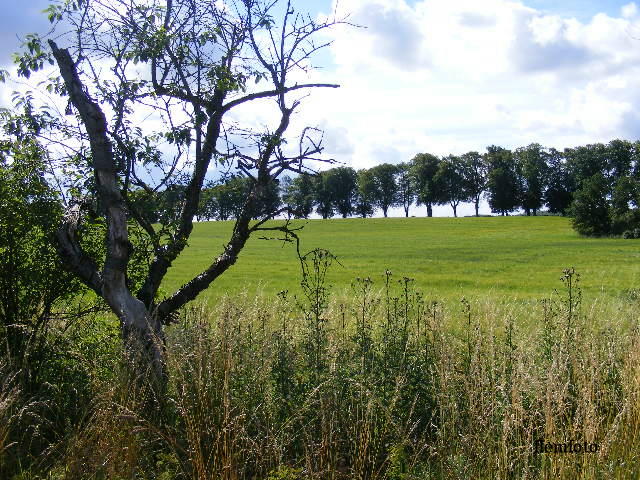 photo "Landscape" tags: landscape, 