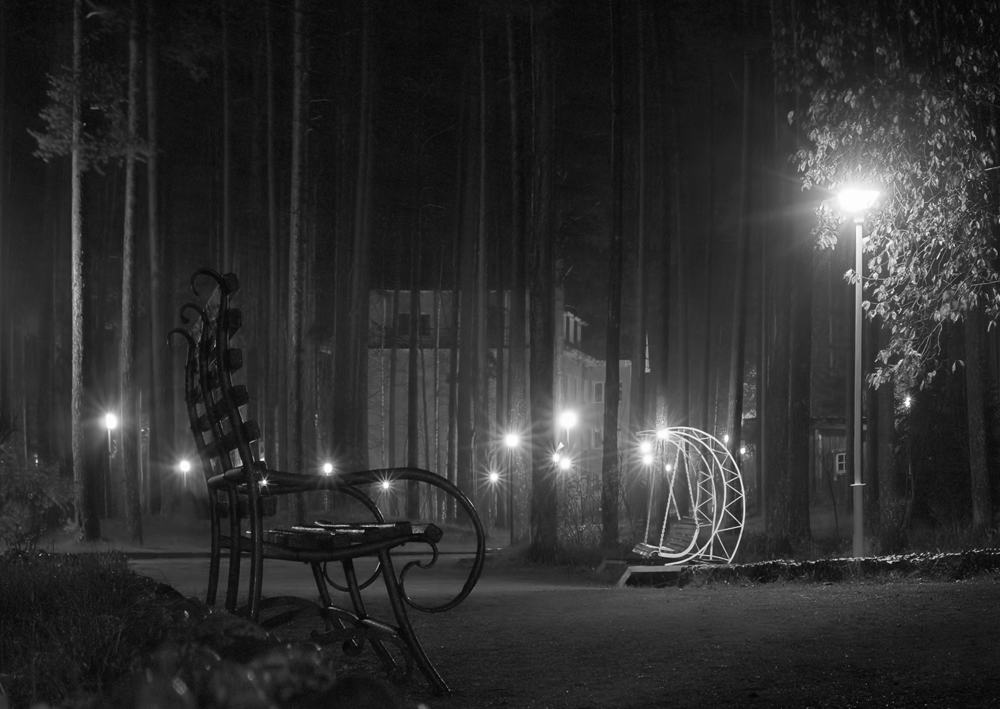 photo "Reminiscence" tags: black&white, landscape, autumn, fog, night