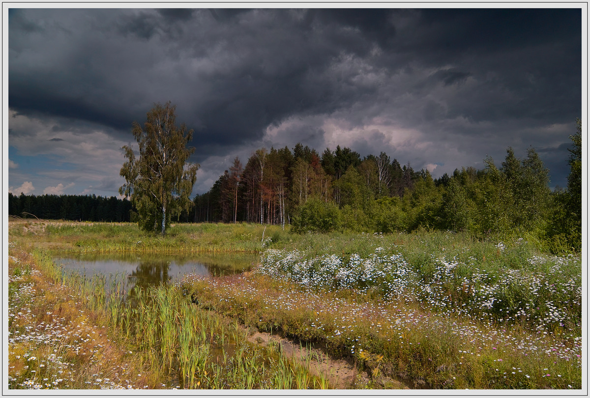 фото "Перед грозой" метки: пейзаж, лето