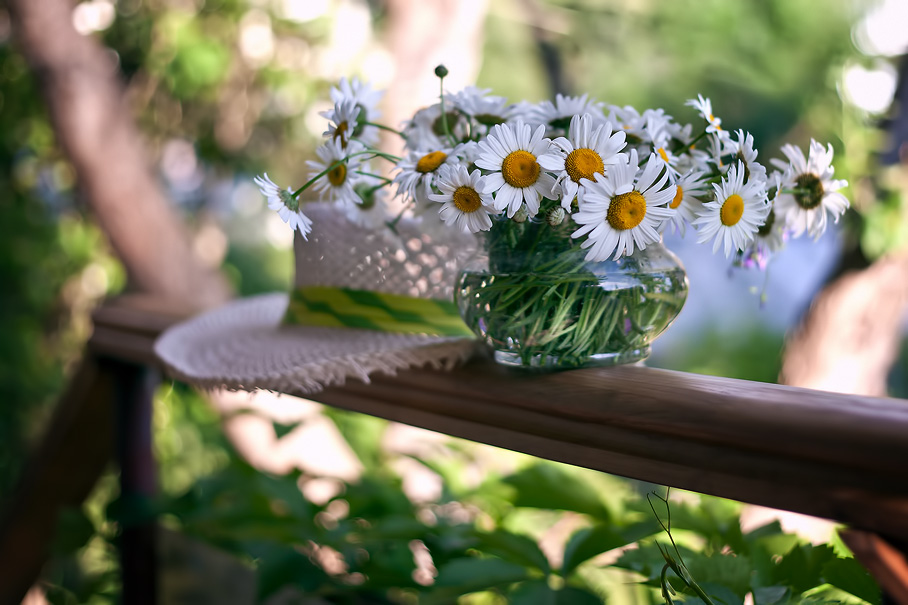 photo "***" tags: nature, still life, flowers