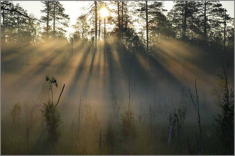 фото "Урто в тумане" метки: пейзаж, природа, лес