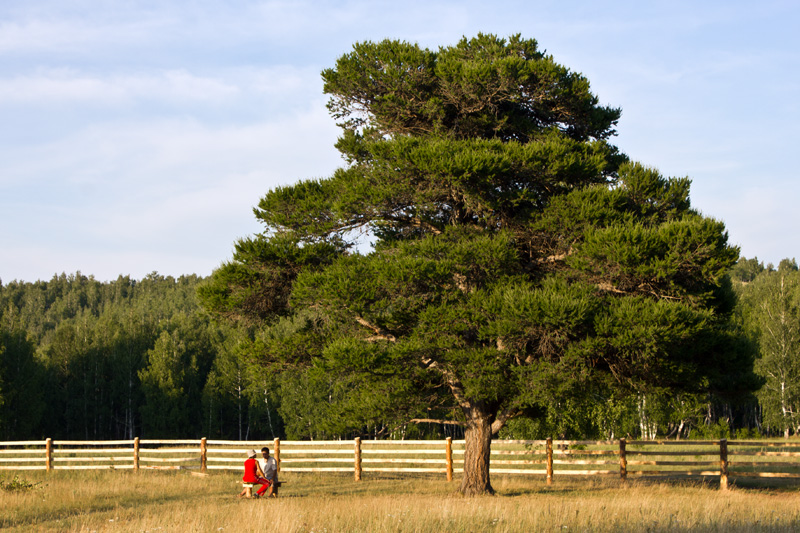 photo "***" tags: genre, nature, 