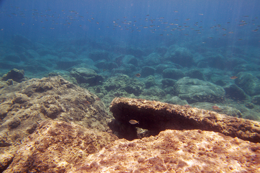 photo "Underwater Rhodos" tags: landscape, nature, underwater, 