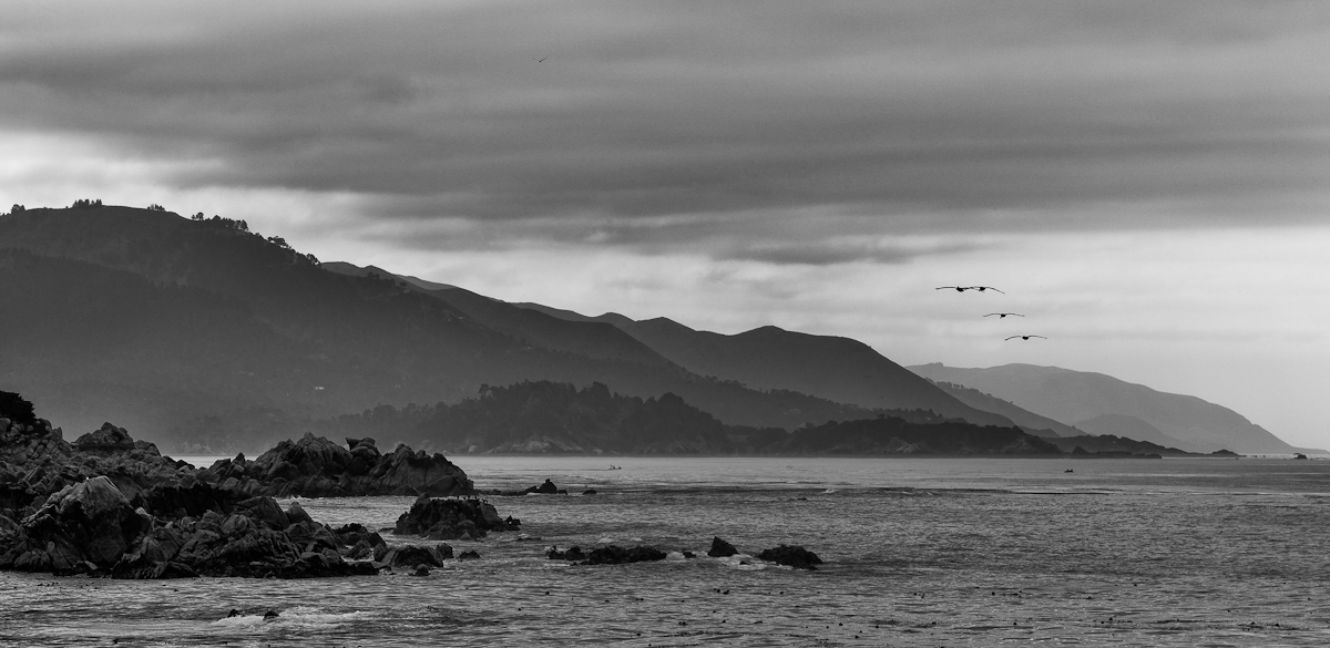 photo "Fly away" tags: landscape, black&white, panoramic, 