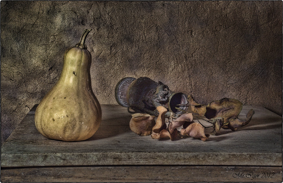 photo "Pumpkin and a vase" tags: still life, old-time, 