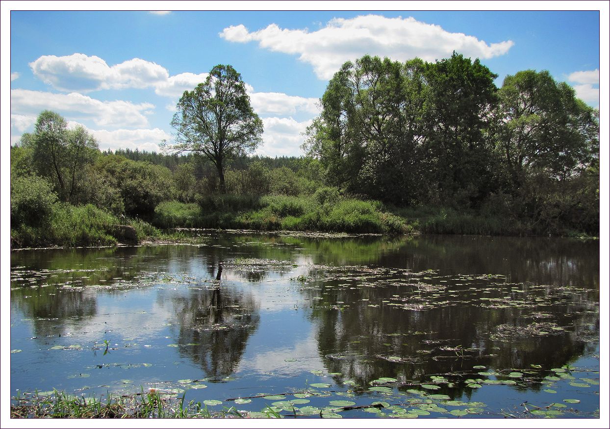 photo "Nerka river" tags: landscape, 