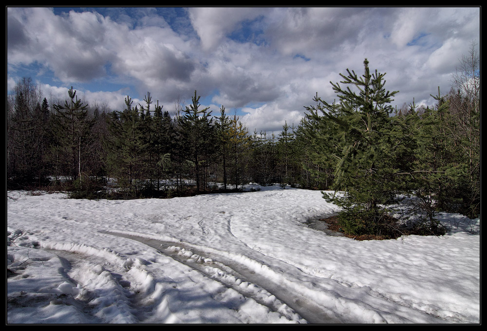 photo "***" tags: landscape, forest, spring