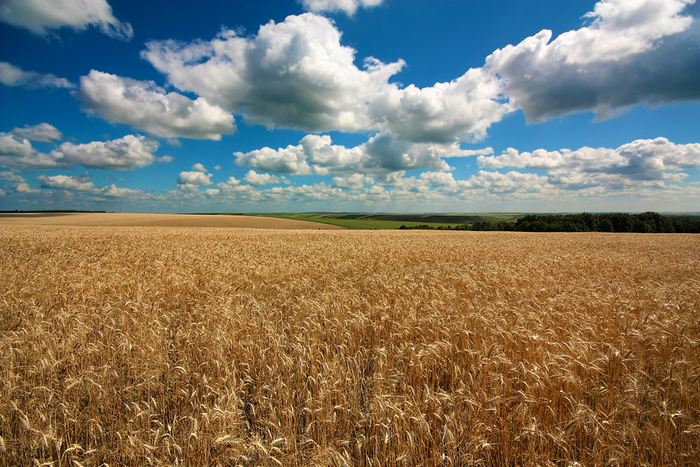 photo "***" tags: landscape, clouds, summer