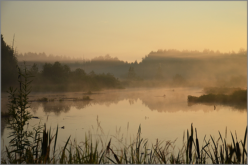 photo "***" tags: landscape, nature, 