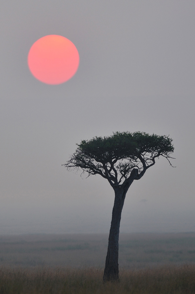 photo "***" tags: landscape, 