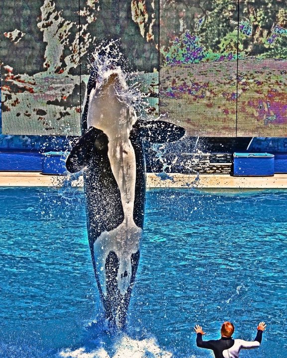photo "Tail Walker" tags: travel, reporting, 