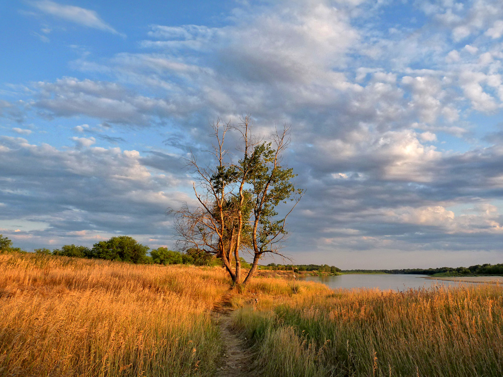 photo "***" tags: landscape, nature, clouds, field, river, summer, sun, water