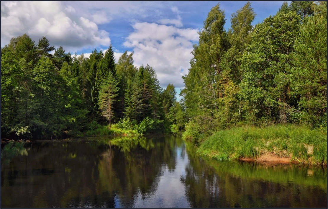 фото "Берег лесной речки." метки: пейзаж, 