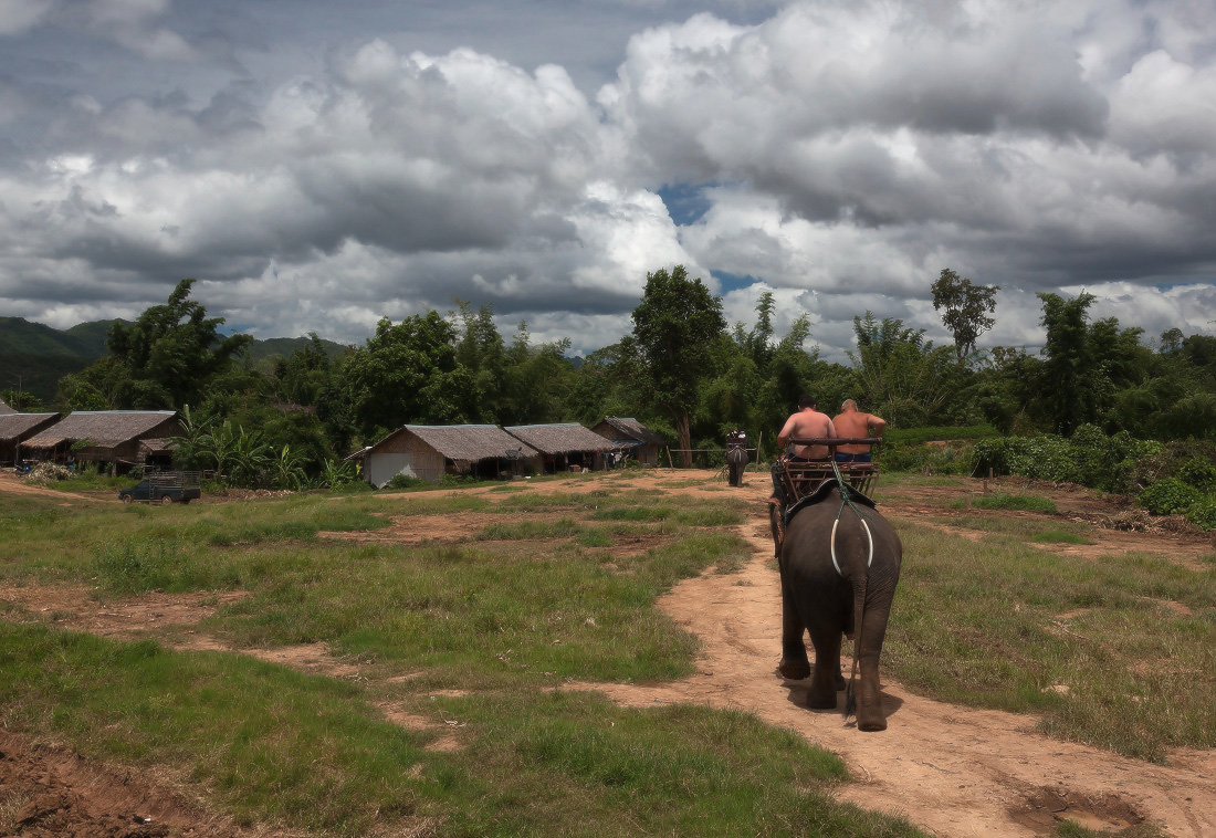 фото "Прогулки на слонах" метки: путешествия, Таиланд, джунгли, слоны, тропы