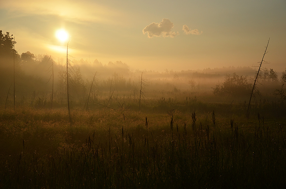 photo "***" tags: landscape, fog