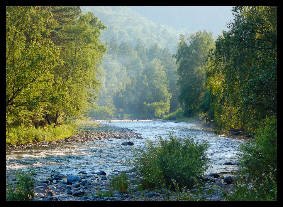 photo "On coast of Chemal" tags: landscape, coast, forest, river