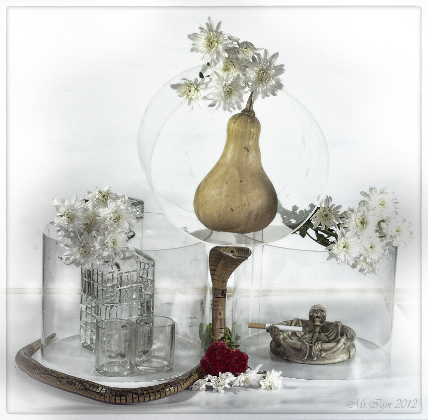 photo "jaunty" tags: still life, Протест на подорожание спиртны