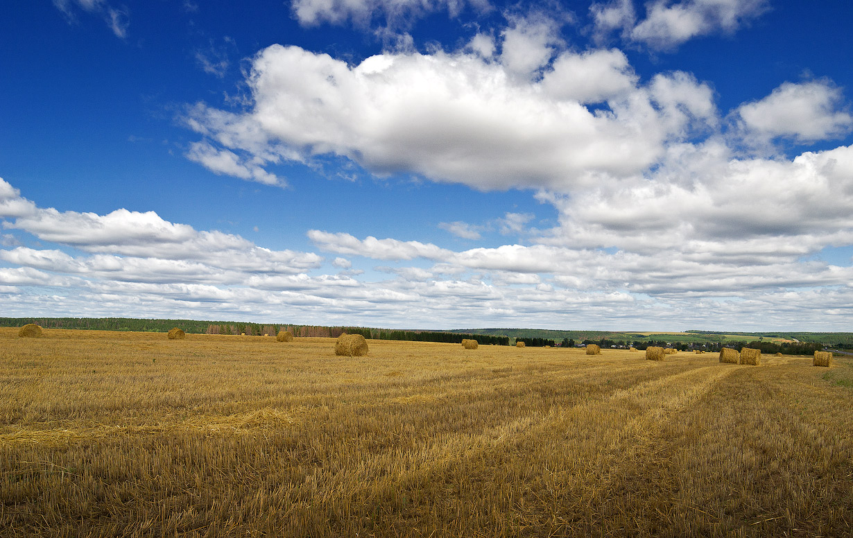 photo "***" tags: landscape, nature, clouds, field, summer, пейзаж, солома, уборка