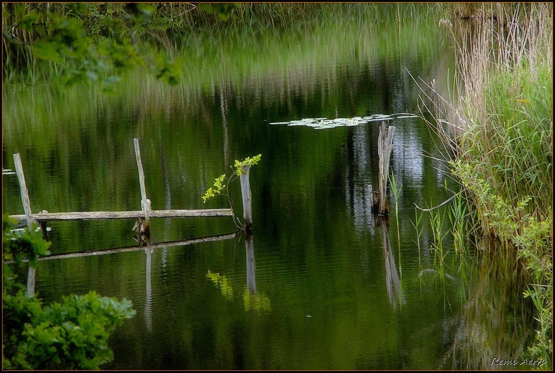 фото "***" метки: пейзаж, природа, 