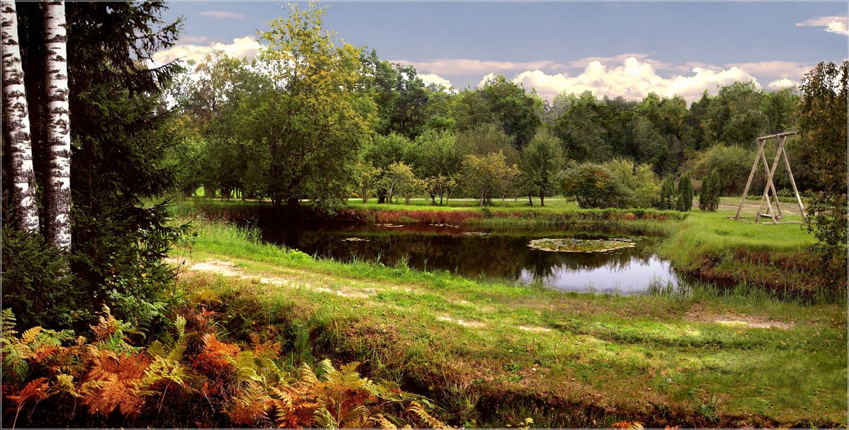 photo "Meeting in forest" tags: landscape, nature, 