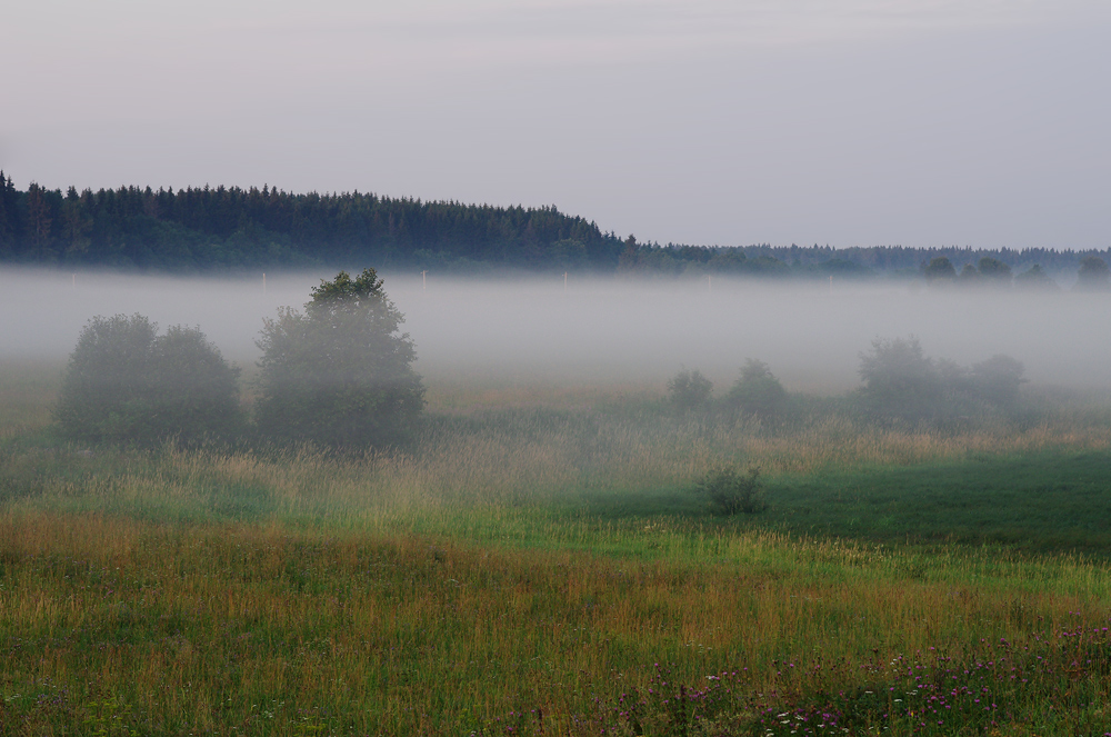 photo "***" tags: landscape, 