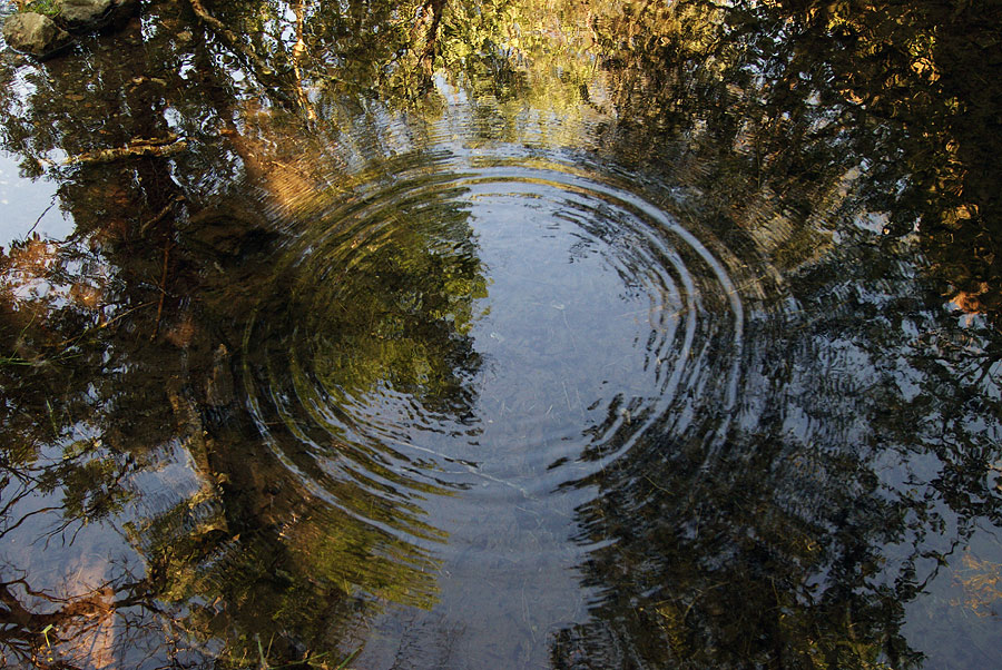 фото "Родник" метки: пейзаж, вода, отражения, родник