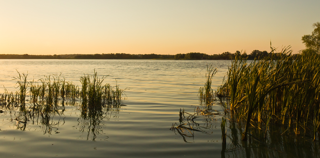 photo "***" tags: landscape, nature, Dnieper, coast, evening, river, summer, sun, sunset, water, камыши