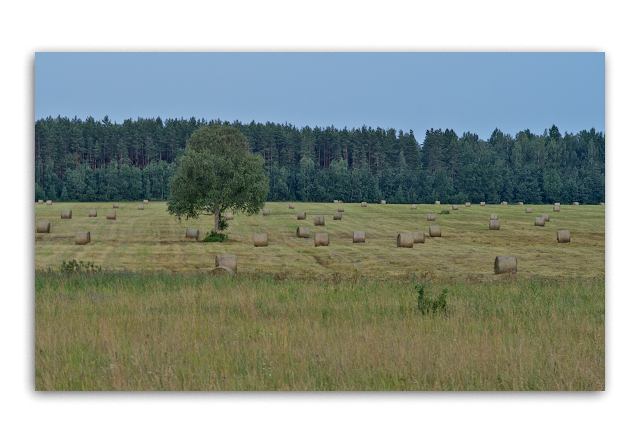 photo "***" tags: landscape, 