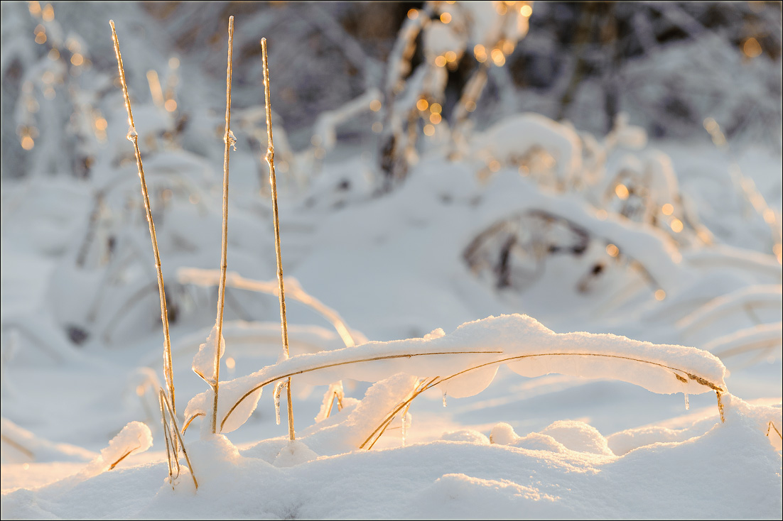 фото "Memories of winter" метки: фрагмент, абстракция, пейзаж, зима, свет, снег