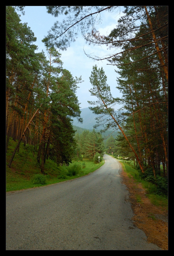 photo "On Altay's roads" tags: landscape, forest, road