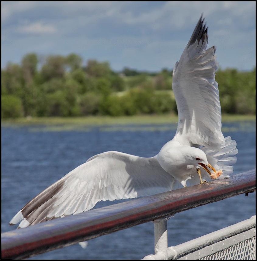 photo "cracker" tags: nature, travel, 