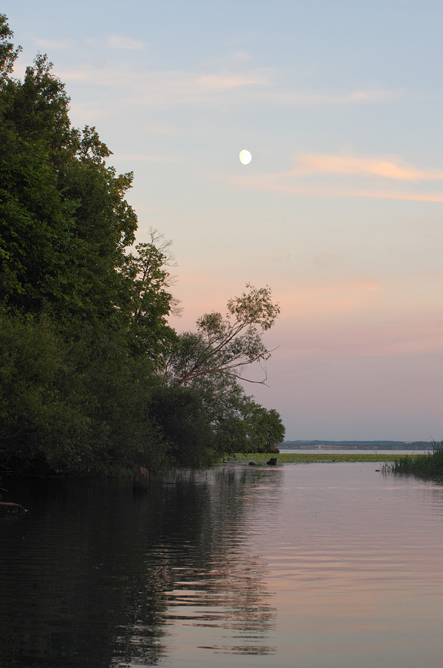 photo "***" tags: landscape, river, summer, sunset, water