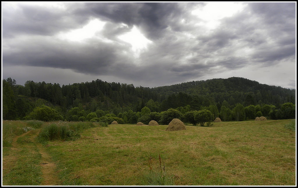 photo "Сloudy Day" tags: landscape, travel, mountains, Алтай, пасмурно, покос