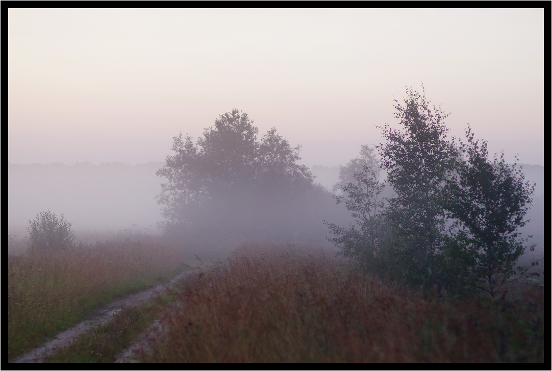 photo "***" tags: landscape, 