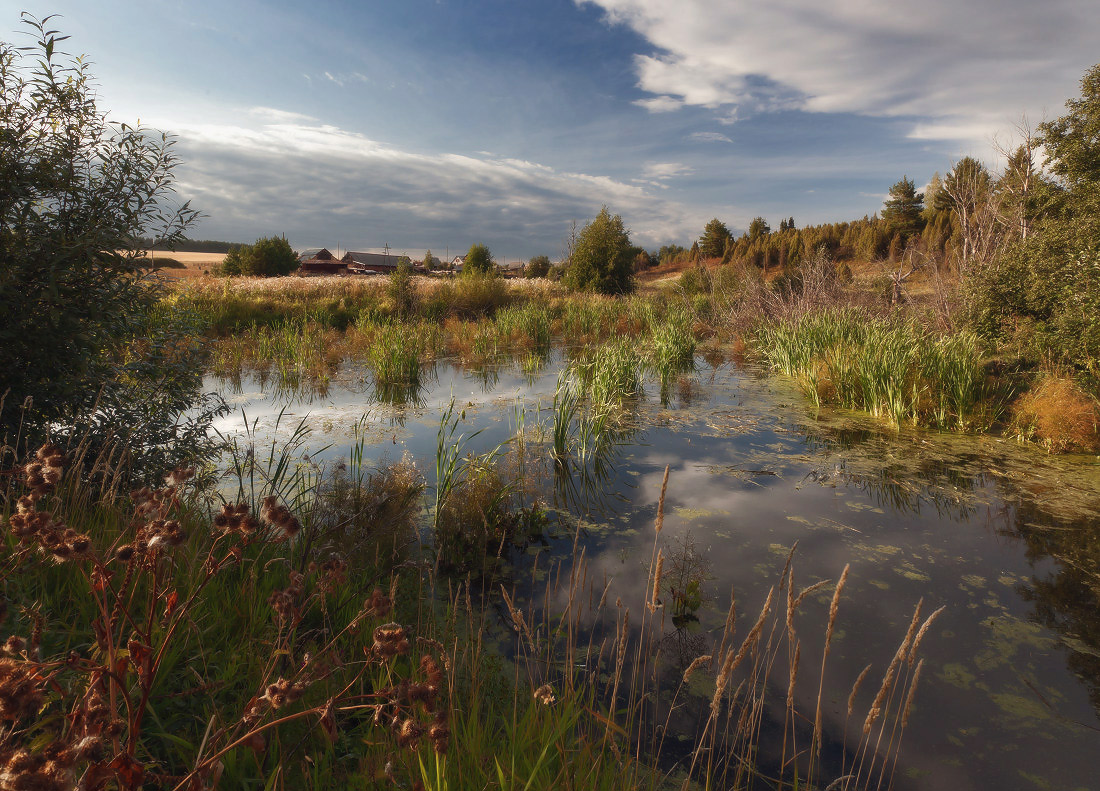 photo "***" tags: landscape, grass, lake, summer, village