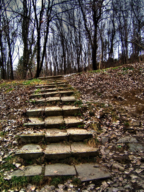 photo "Steps" tags: landscape, travel, 