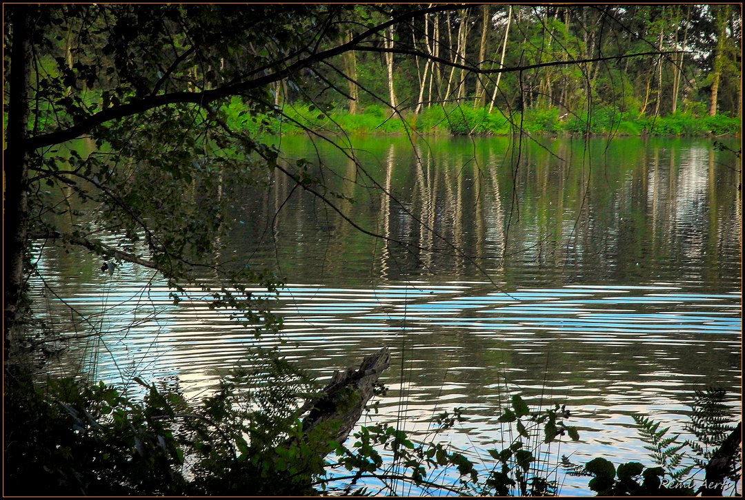 photo "***" tags: landscape, nature, 