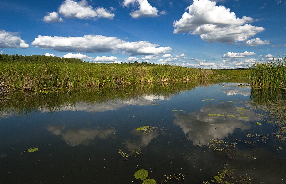 фото "В реку смотрятся облака..." метки: пейзаж, вода, лето, облака, река