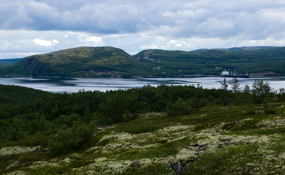 photo "***" tags: landscape, travel, forest, water, мох, тундра