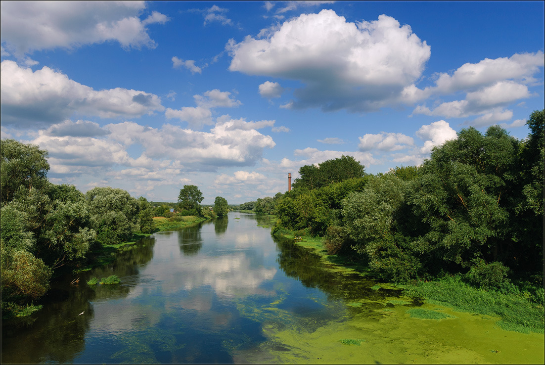 фото "Середина лета" метки: пейзаж, природа, Подмосковье, вода, зелёный, лето, облака, река, солнце, цвет