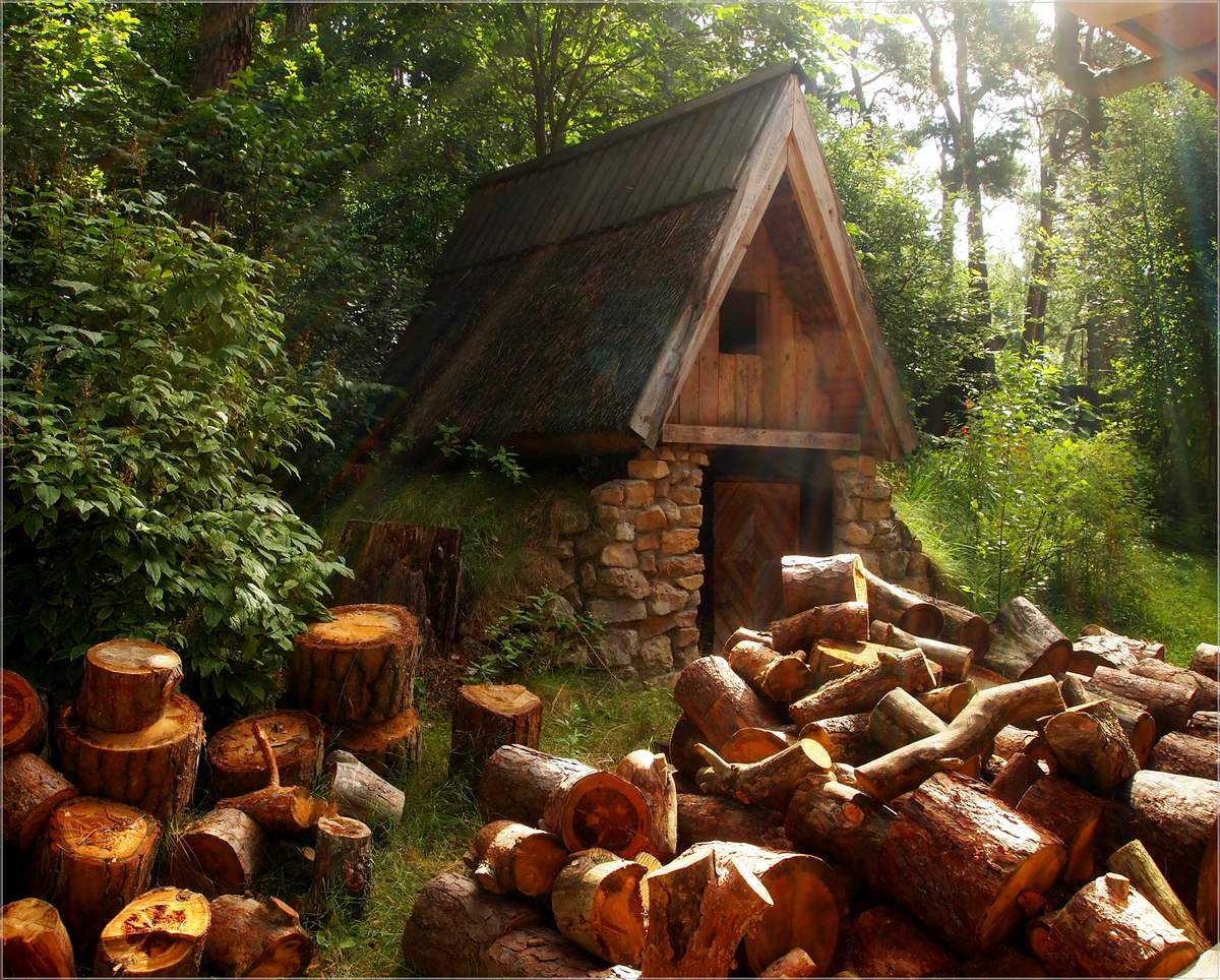 фото "Funny firewood" метки: пейзаж, 