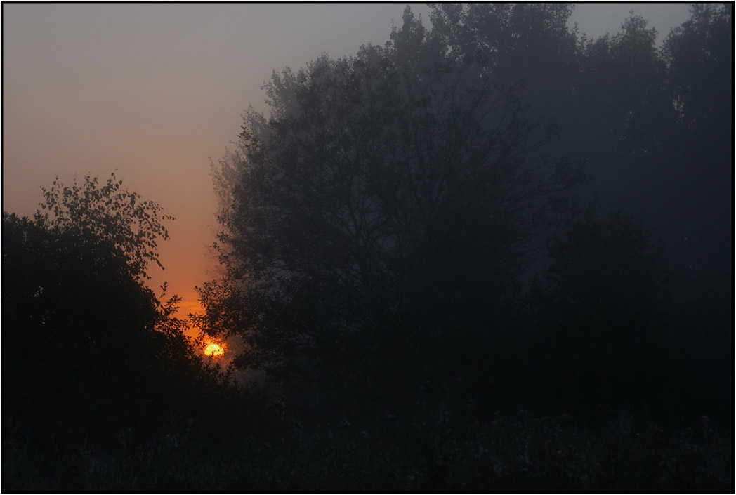 photo "Hiding the sun" tags: landscape, fog, sunrise