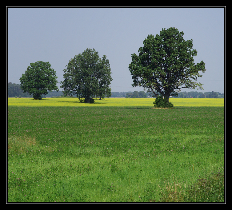 photo "***" tags: landscape, 