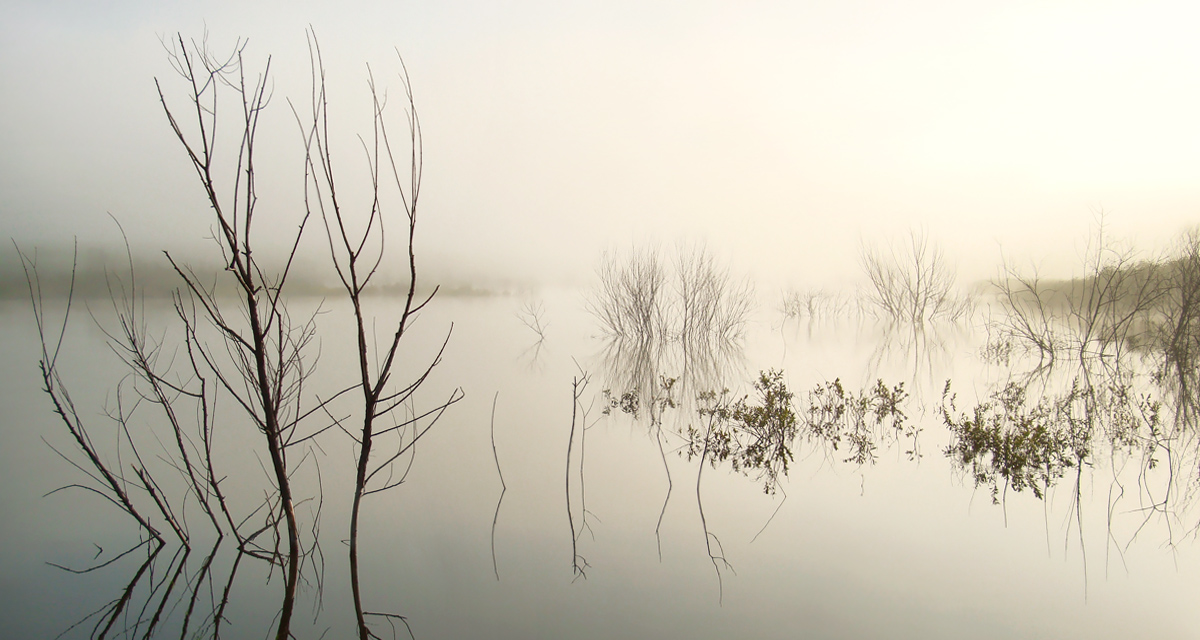 photo "... country's golden fog 3.." tags: landscape, 