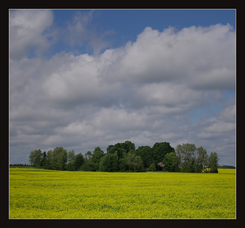 photo "***" tags: landscape, 