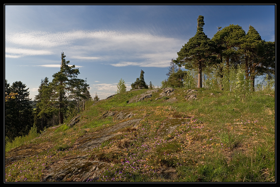 photo "Kuhavuori" tags: landscape, travel, Karelia, mountains, spring